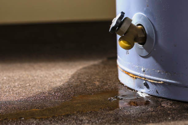 Best Carpet water damage restoration  in Falmouth, VA