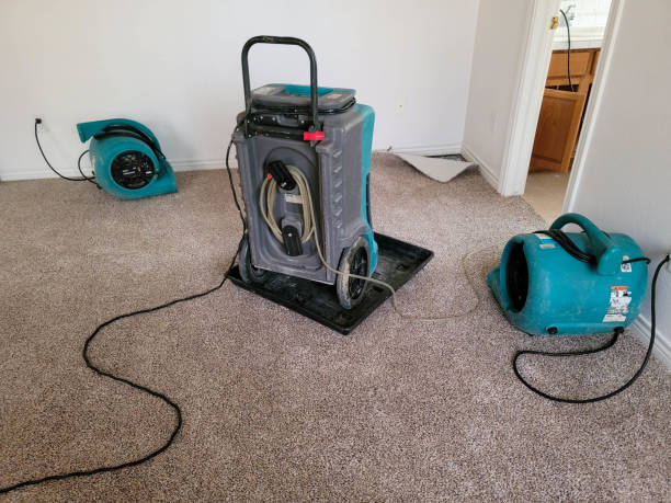 Best Flood restoration services  in Falmouth, VA