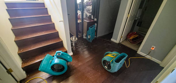 Best Ceiling water damage repair  in Falmouth, VA