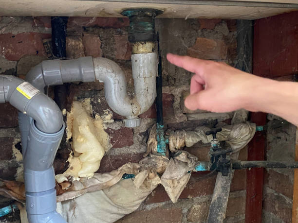 Best Flood restoration services  in Falmouth, VA